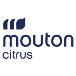 Logo redo-15