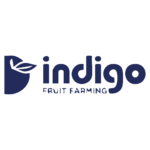 Logo redo-26